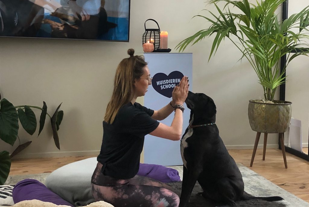 Esther doet yoga met hond in de studio van De Huisdierenschool