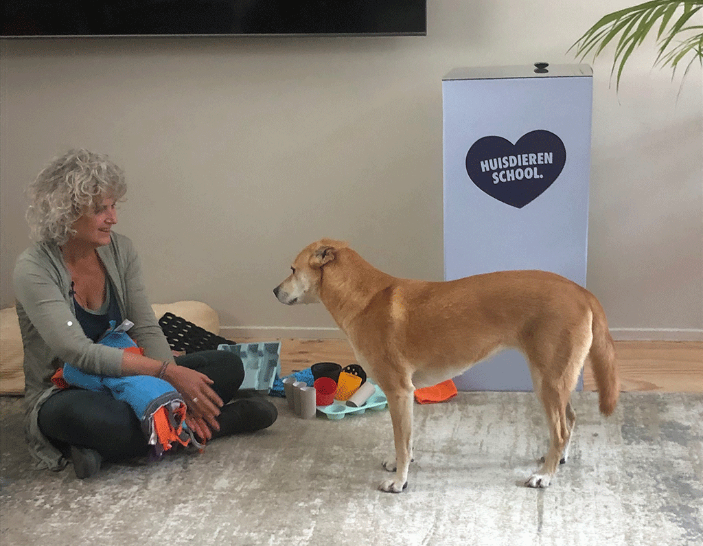 Marleen van Baal met hond hersenwerken in de studio van huisdierenschool.nl