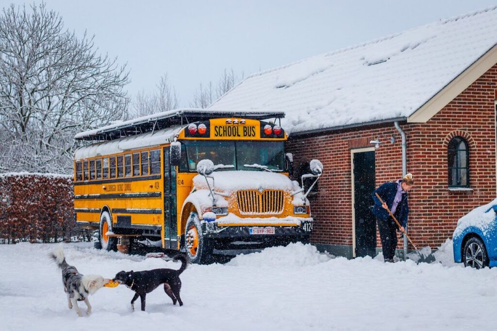 Huisdierenschool ervaring